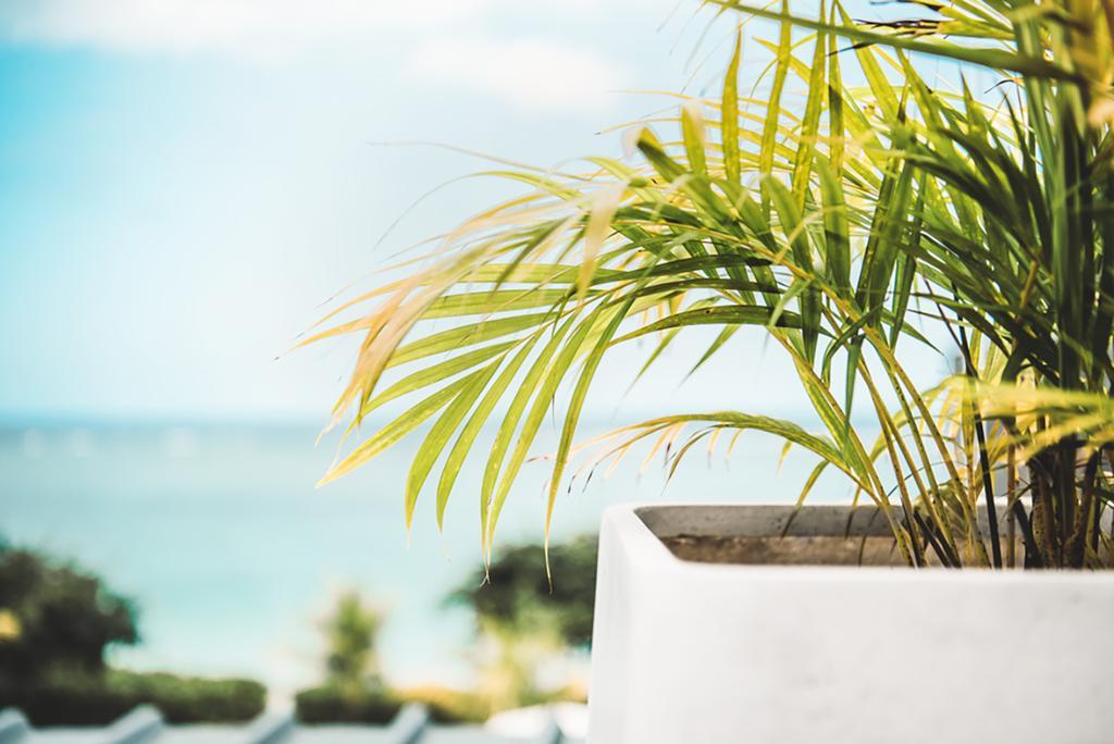 Cap Ouest Luxury Penthouse By Dream Escapes Apartment Flic en Flac Luaran gambar